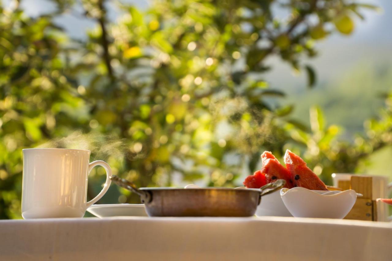 Aladaglar Mountain Hostel Cukurbag  外观 照片